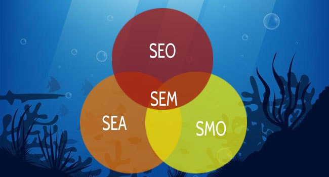 Diving in web Communication digitale Référencement Google et réseaux sociaux SEO SEA SEM SMO