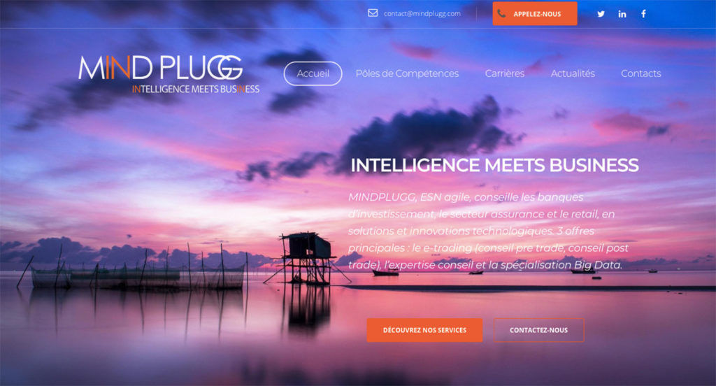 Diving in Web Refonte site internet MindPlugg cabinet de Conseil en innovations technologiques