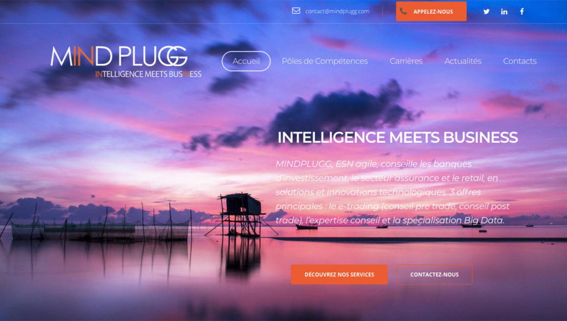 Diving in Web Refonte site internet MindPlugg cabinet de Conseil en innovations technologiques