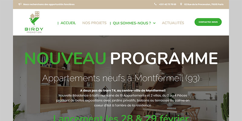 Diving in web - Création wordpress d'un promoteur immobilier parisien Birdy Promotion