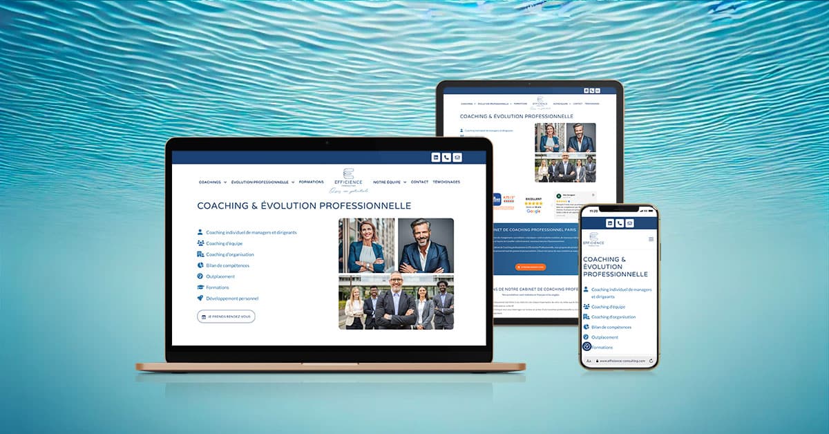 Affichage multi-devise du site internet Efficience Consulting réalisé par Diving in Web avec Wordpress